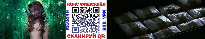 Продажа наркотиков Свободный ГАШИШ  Бошки Шишки  COCAIN  А ПВП  blacksprut ССЫЛКА  Меф 